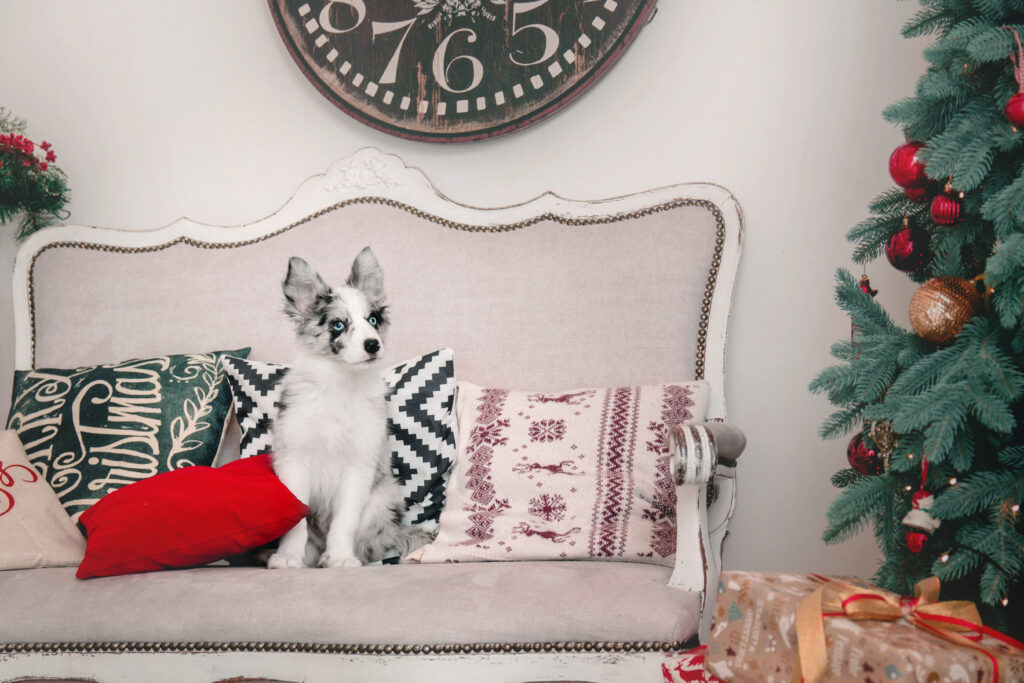 Grinch pillow