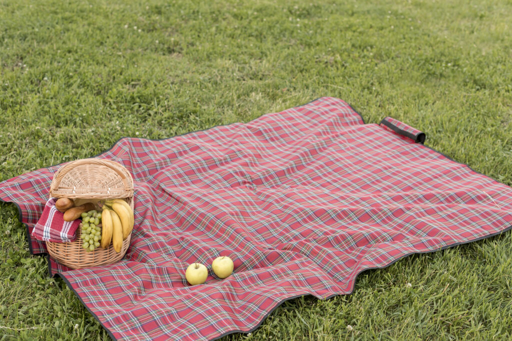 Picnic Blanket